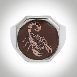B Series Scorpion Mens Ring Grey-Bronze Color Sides Simple Model Transparent Enameled - 2