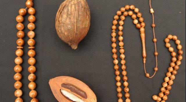 Kuka Tesbihler ve Faydaları