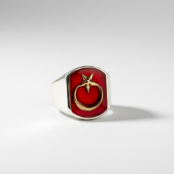 Symmetrical Design Sterling Silver Mens Ring with Turquoise Chalchuite Stone - 3