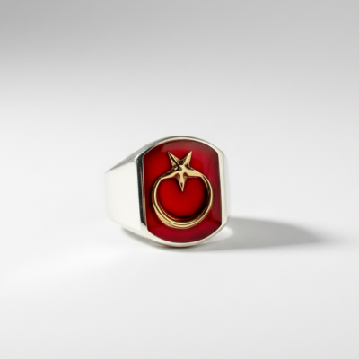 Symmetrical Design Sterling Silver Mens Ring with Turquoise Chalchuite Stone - 3